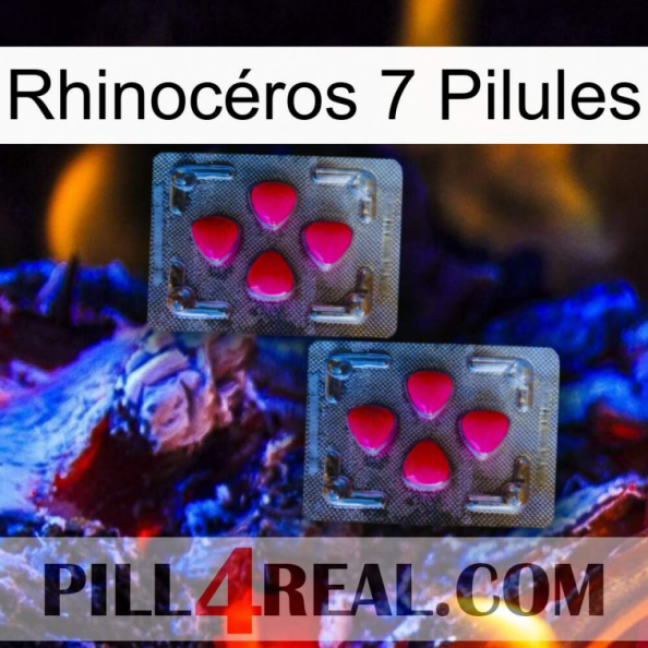 Rhinocéros 7 Pilules 14.jpg
